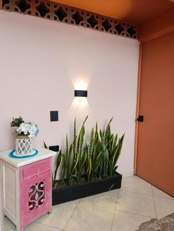Hostal Casa Primavera Medellín Exterior foto